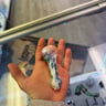 Small image 0