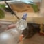 Small image 5