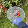 Small image 0