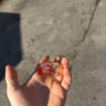 Small image 1
