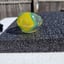 Small image 4