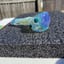 Small image 5