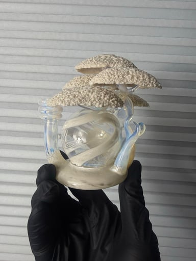 Preview pic of Bubbles the Butcher Bonsai Tree Orbs