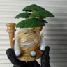 Small image 5
