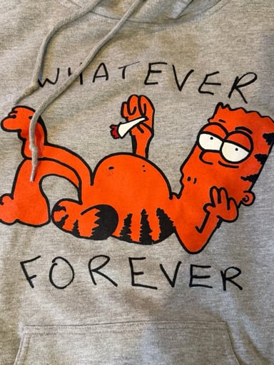 Preview pic of OG GZ1 hoodie, 1st one?