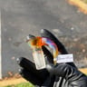 Small image 6