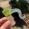 Small image 1