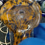 Small image 7