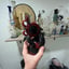 Small image 7