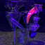 Small image 6