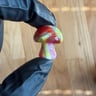 Small image 1