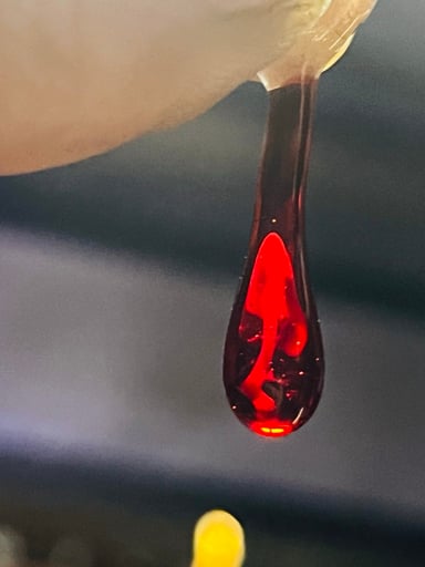 Preview pic of Mushroom in blood pendy