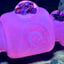 Small image 6