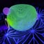 Small image 6