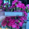 Small image 6