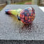 Small image 5