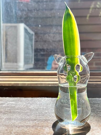 Preview pic of Clear glass cat vase.