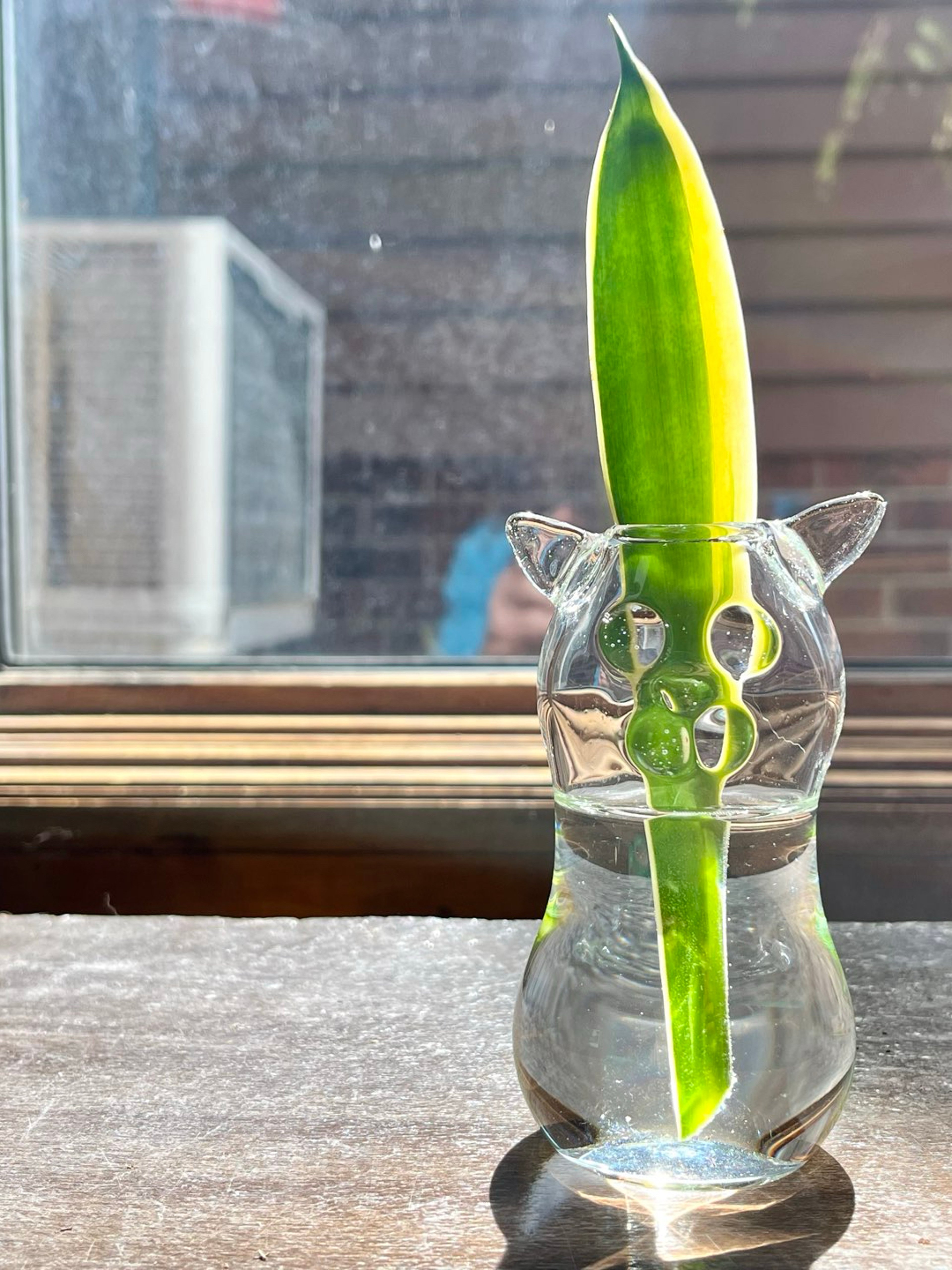 Preview pic of Clear glass cat vase.