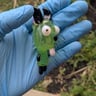 Small image 1