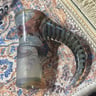 Small image 0