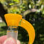 Small image 6