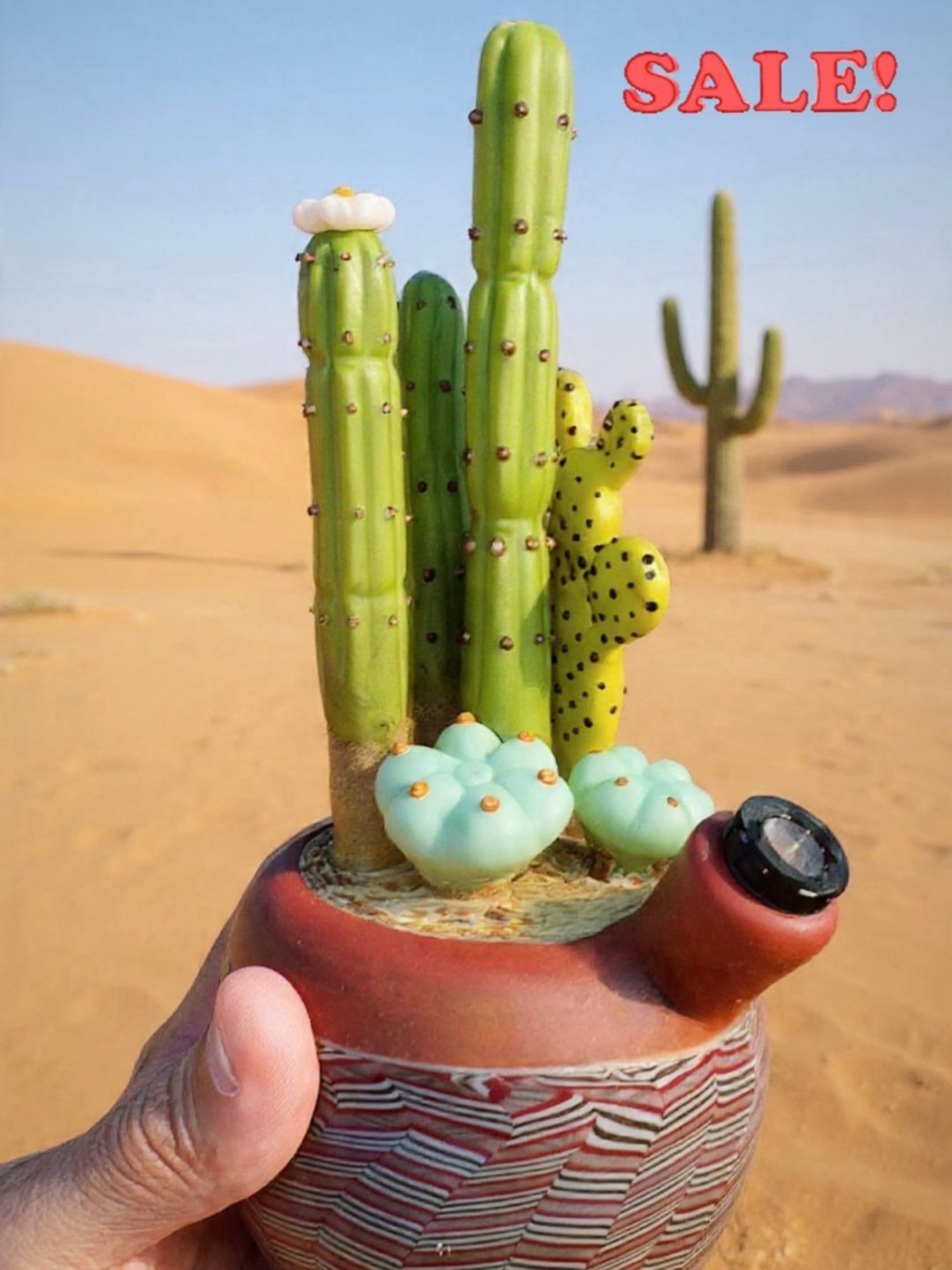 Preview pic of Sarita Glass x BirdDogg Glass Collab 🌵 Incognito Cactus Flower Pot Dab Rig