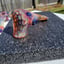 Small image 8
