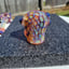 Small image 7