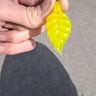 Small image 3