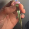 Small image 5