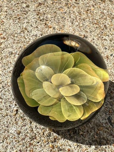 Preview pic of Fume Flower Paperweight