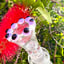 Small image 2