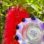 Small image 6