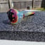 Small image 5