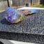 Small image 8