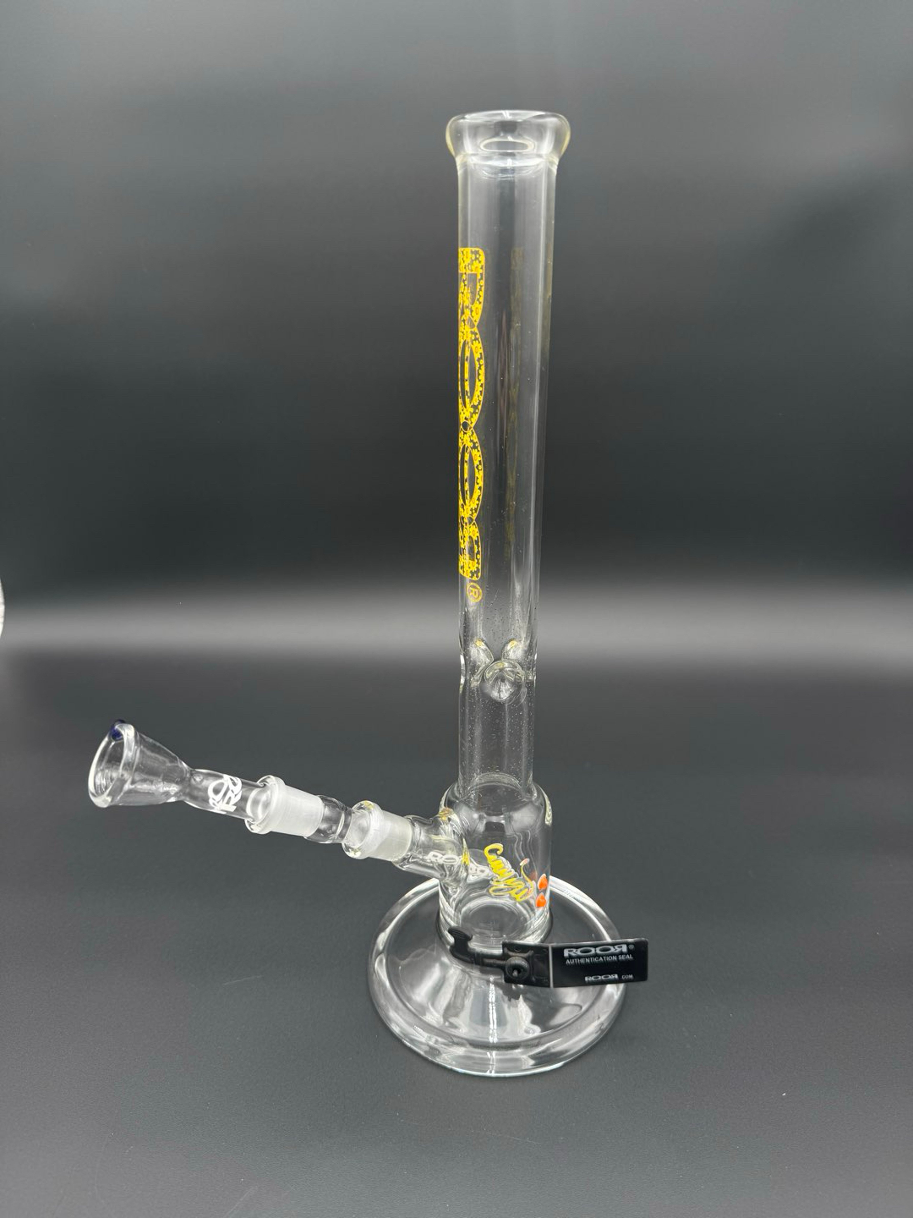 Preview pic of Roor Daisy Snapper