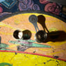 Small image 2