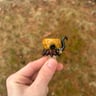 Small image 0