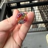 Small image 6