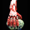 Small image 3