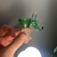 Small image 6
