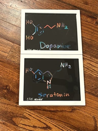 Preview pic of 2023 1 of 1 original art wookerson dopamine and seratonin chemicals framed set