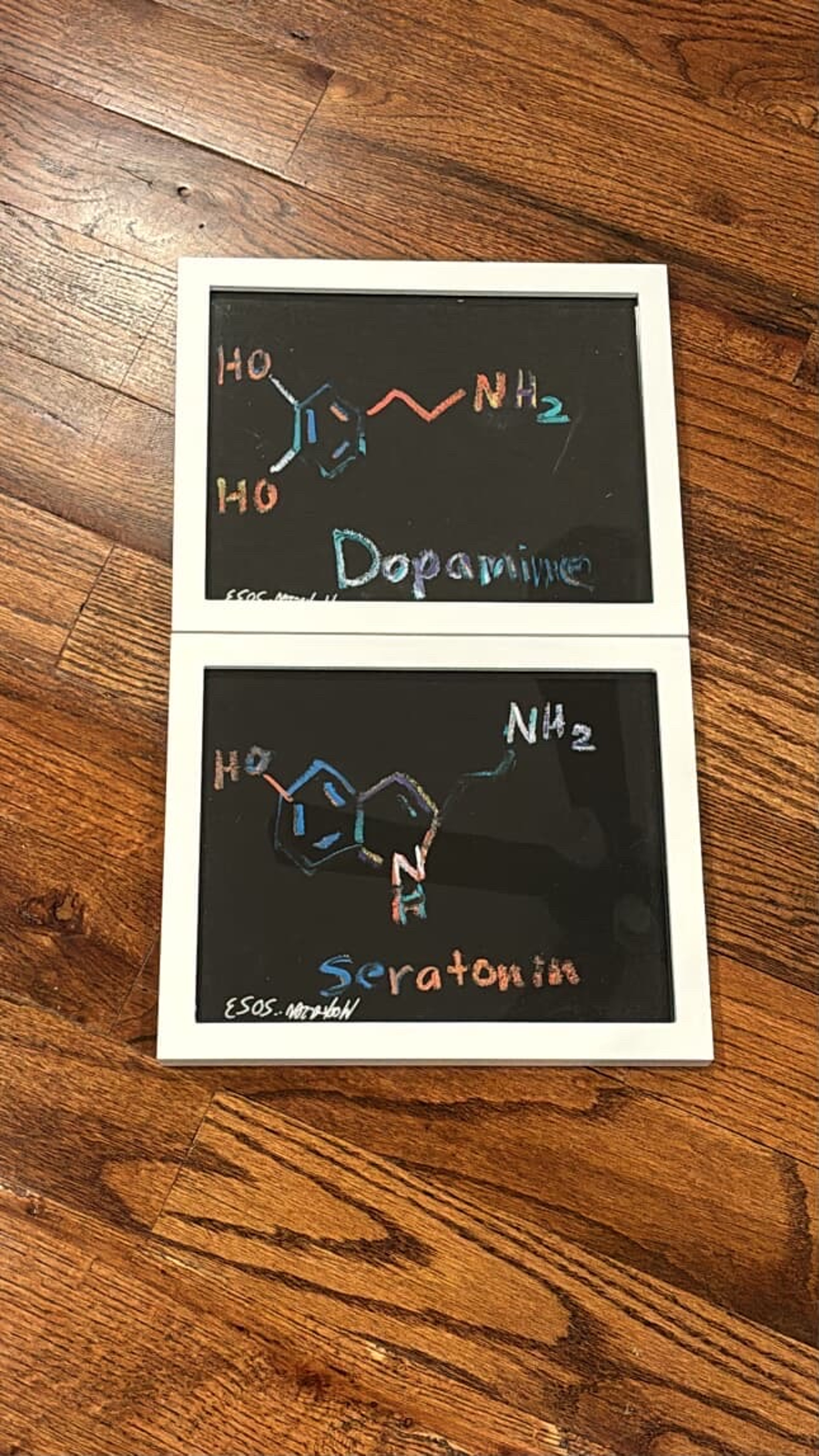 Preview pic of 2023 1 of 1 original art wookerson dopamine and seratonin chemicals framed set