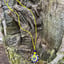 Small image 6