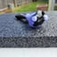 Small image 5