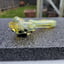 Small image 6