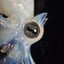 Small image 6