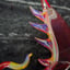Small image 6