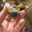 Small image 5