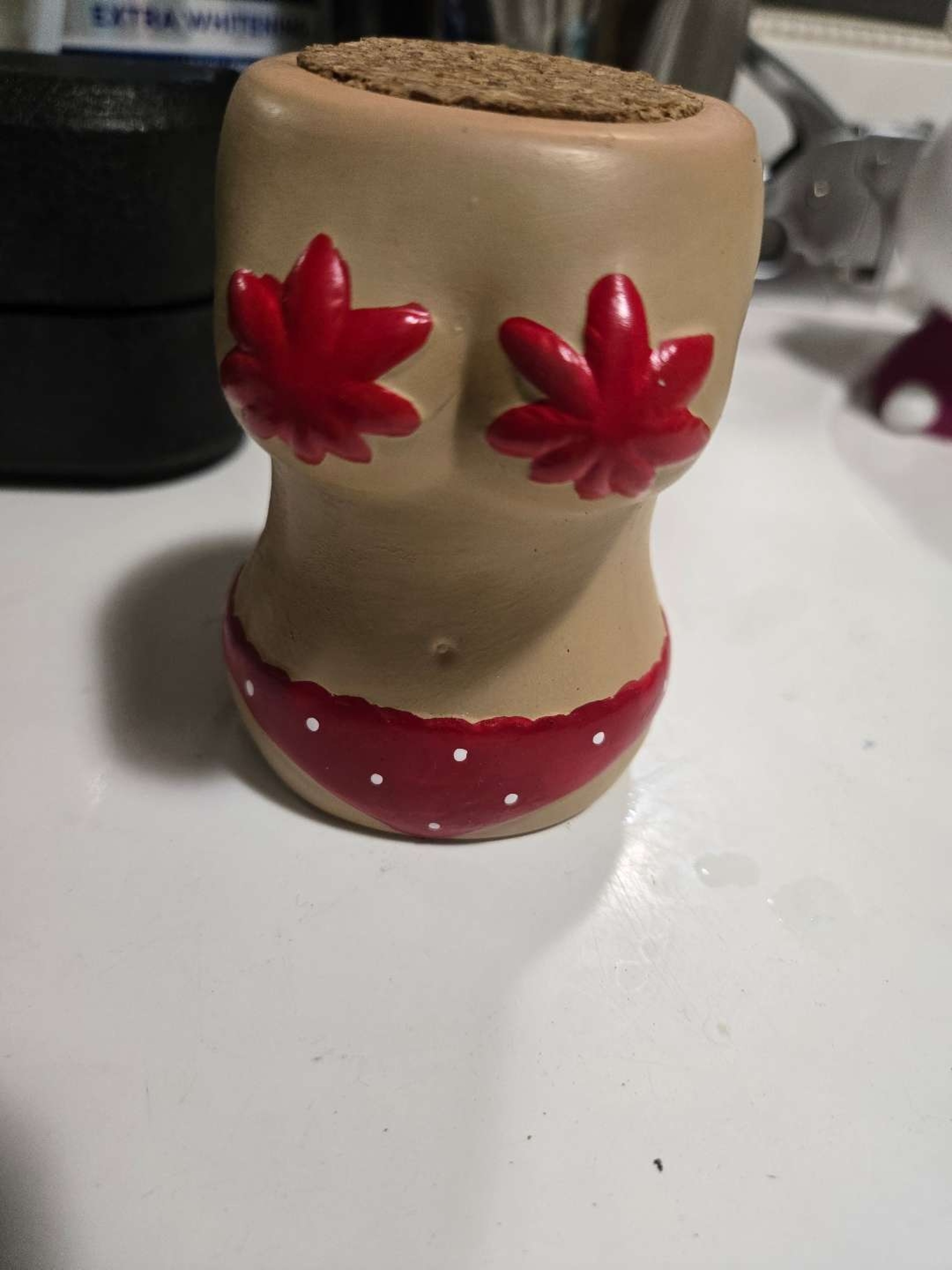 Preview pic of Stash Jar
